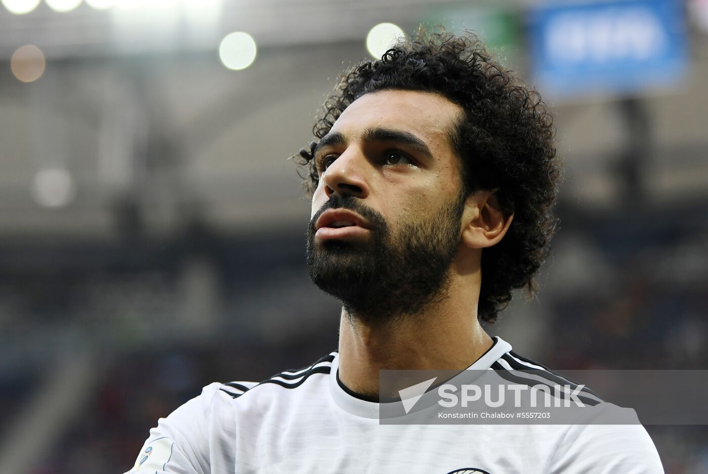 Russia World Cup Saudi Arabia - Egypt