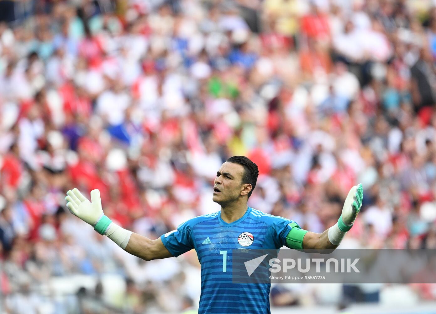 Russia World Cup Saudi Arabia - Egypt