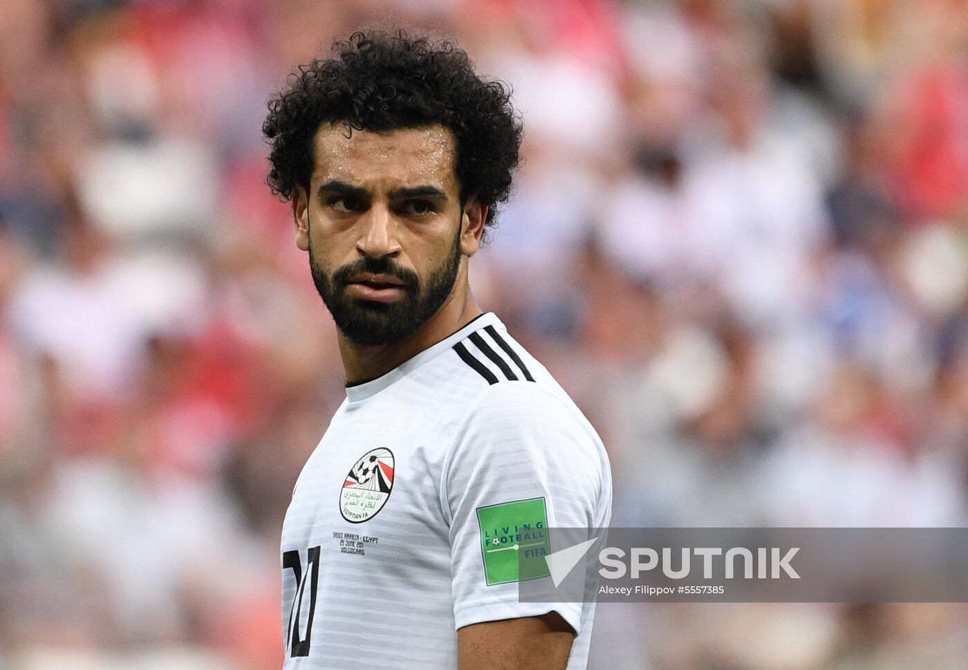 Russia World Cup Saudi Arabia - Egypt