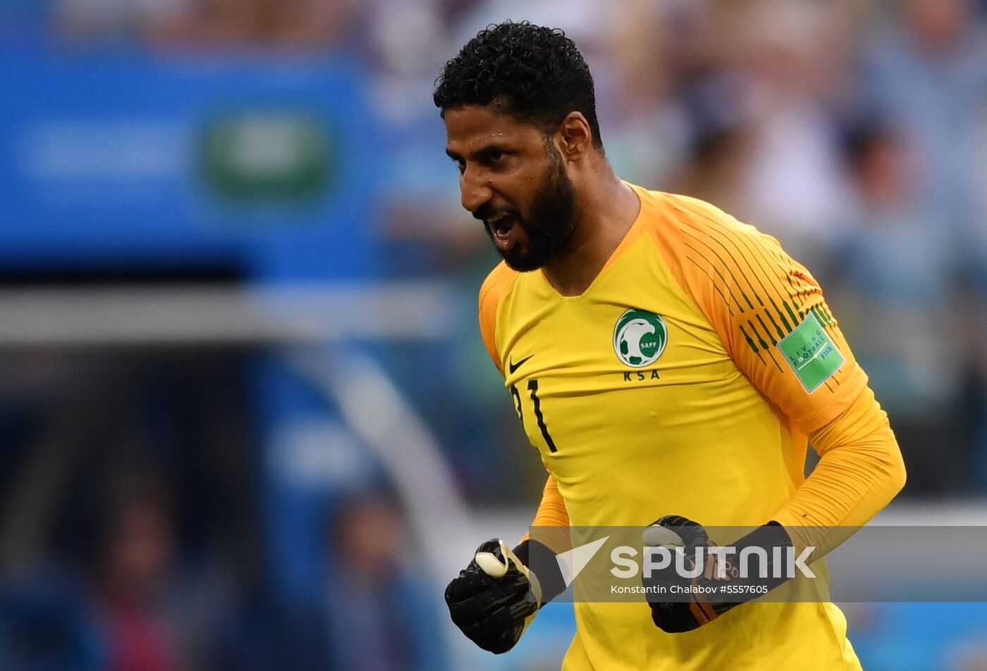 Russia World Cup Saudi Arabia - Egypt