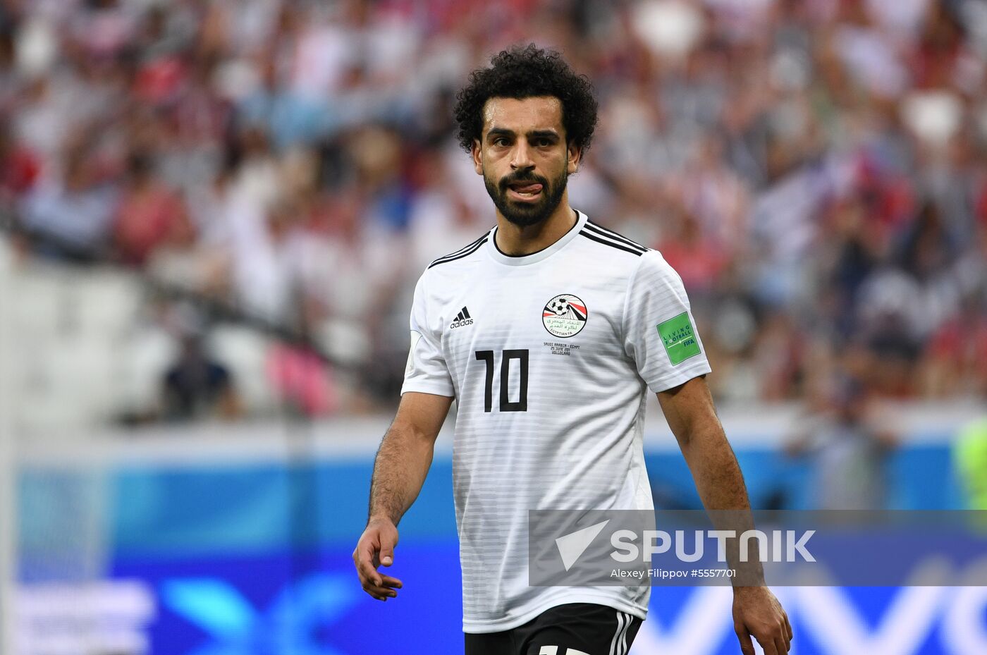 Russia World Cup Saudi Arabia - Egypt