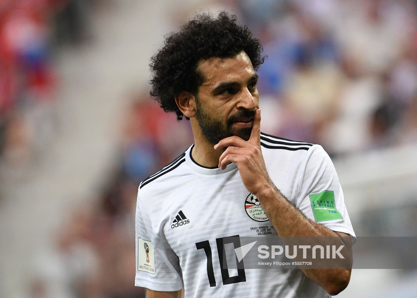 Russia World Cup Saudi Arabia - Egypt