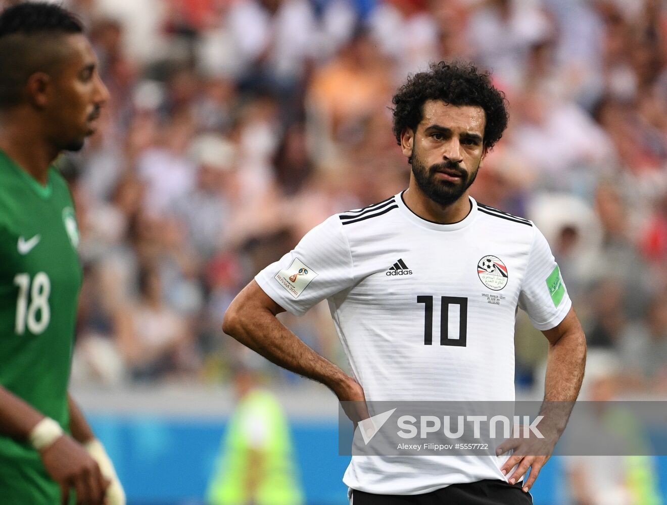 Russia World Cup Saudi Arabia - Egypt