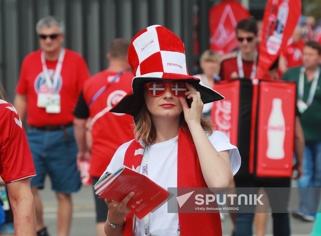 Russia World Cup Denmark - France