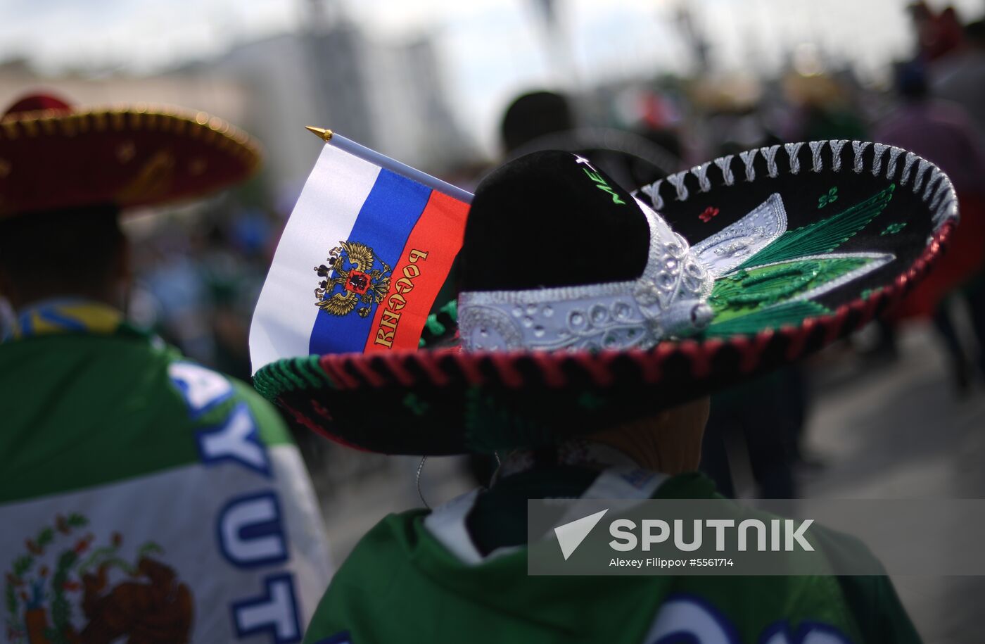 Russia World Cup Mexico - Sweden