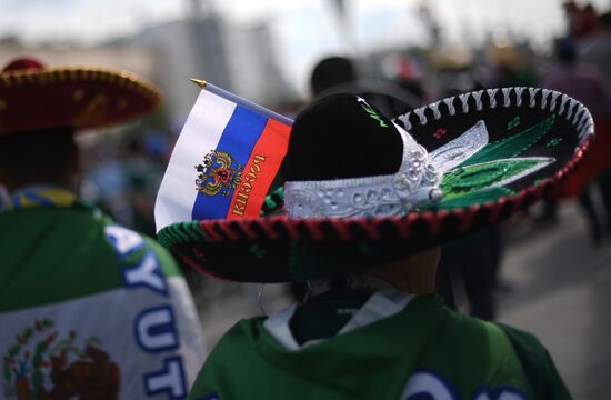 Russia World Cup Mexico - Sweden