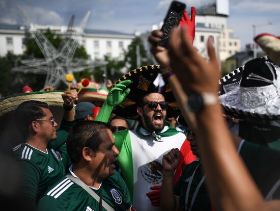 Russia World Cup Mexico - Sweden