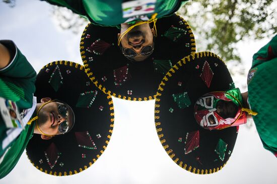 Russia World Cup Mexico - Sweden