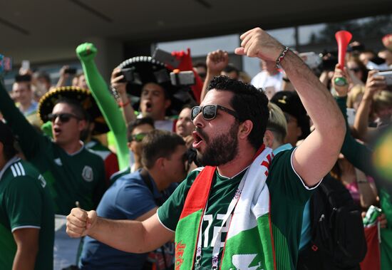 Russia World Cup Mexico - Sweden
