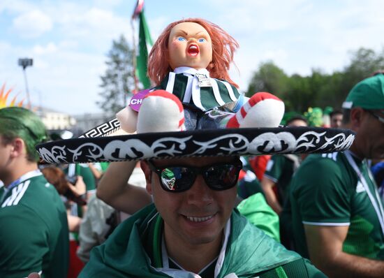 Russia World Cup Mexico - Sweden