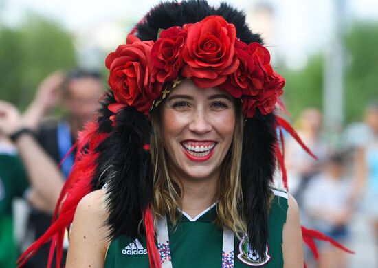 Russia World Cup Mexico - Sweden