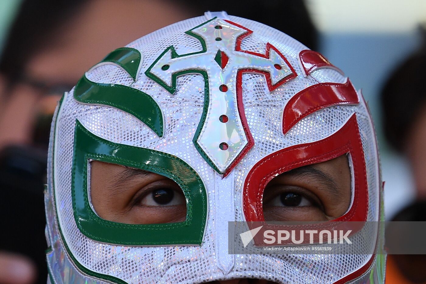 Russia World Cup Mexico - Sweden