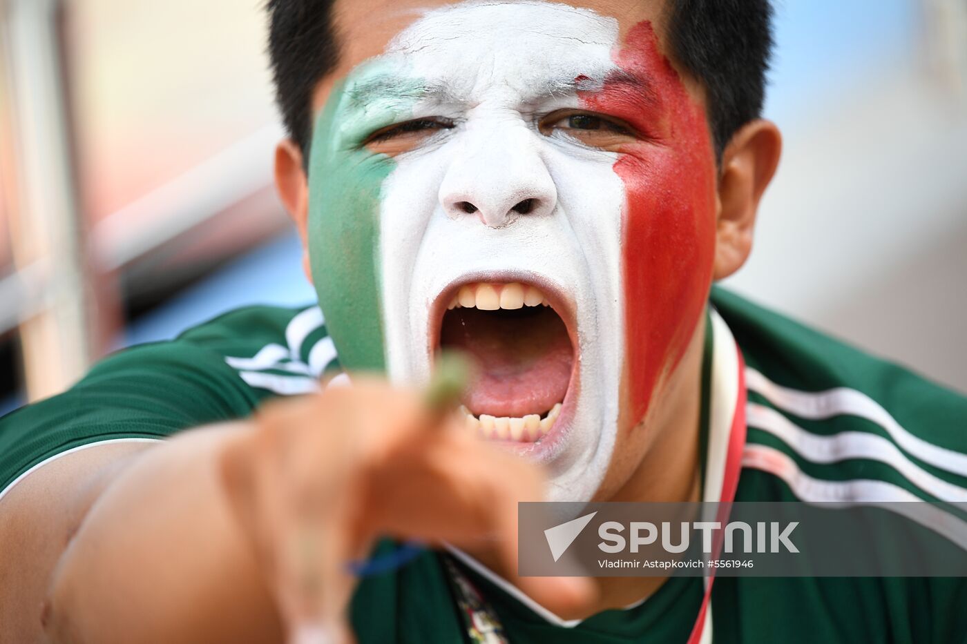 Russia World Cup Mexico - Sweden
