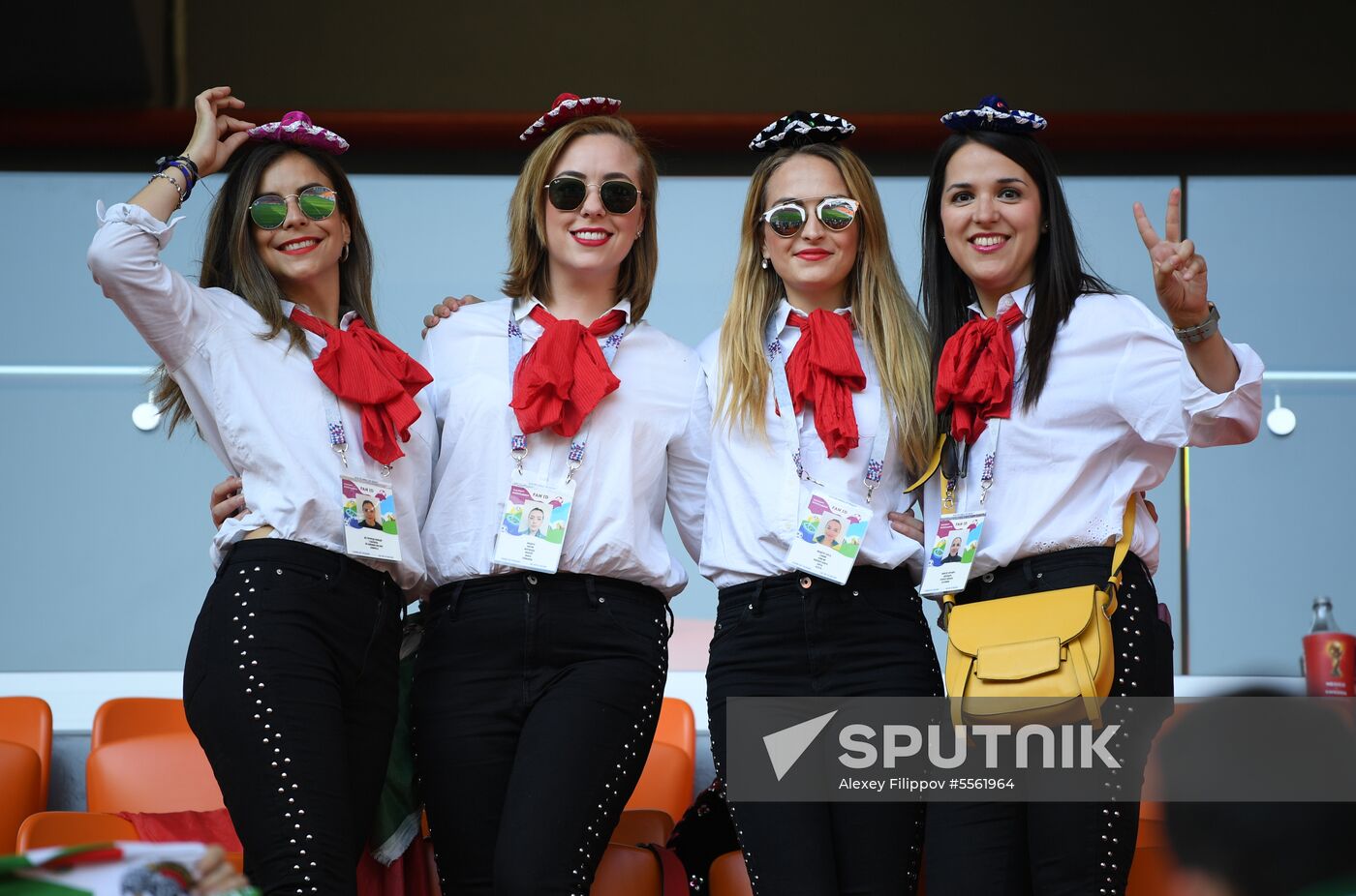 Russia World Cup Mexico - Sweden
