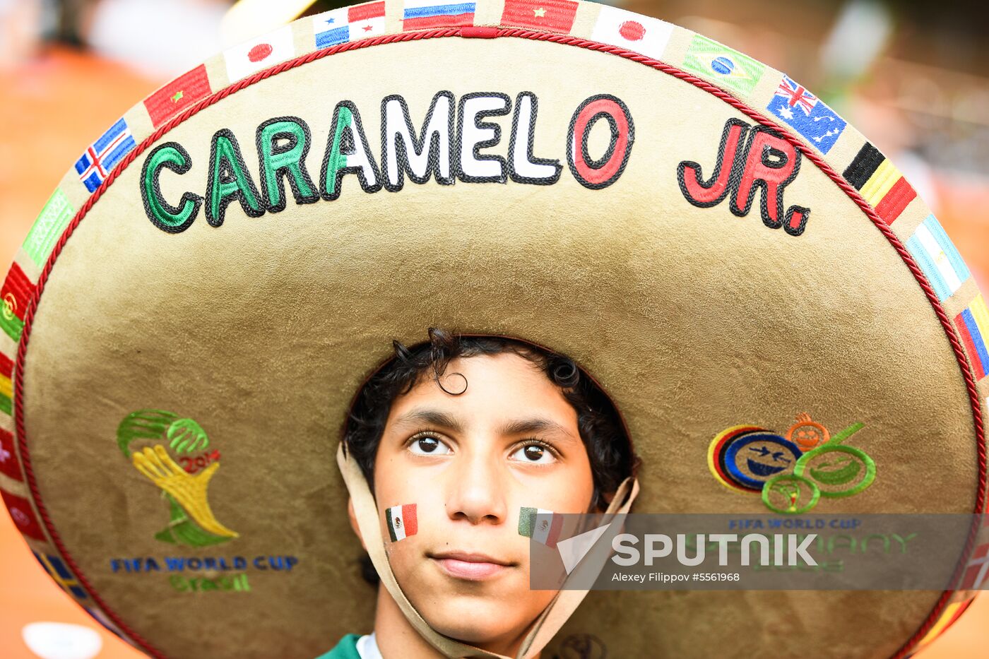 Russia World Cup Mexico - Sweden