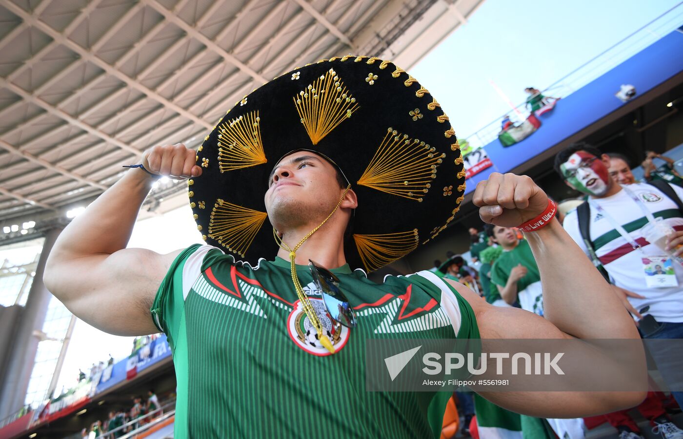 Russia World Cup Mexico - Sweden