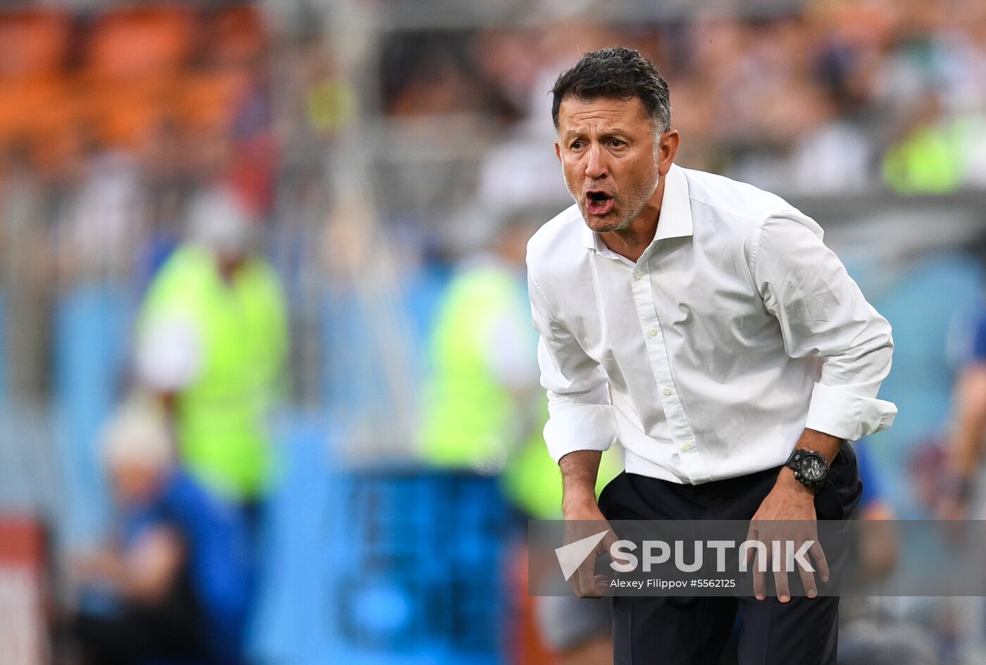 Russia World Cup Mexico - Sweden