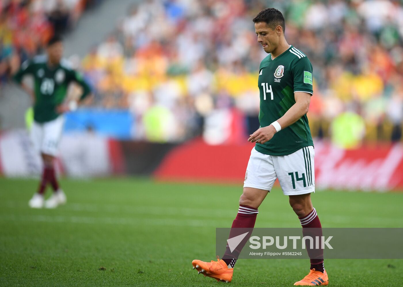 Russia World Cup Mexico - Sweden