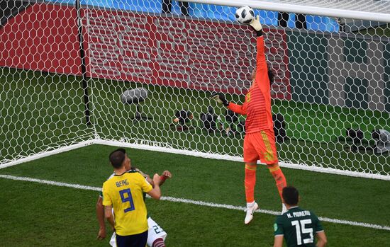 Russia World Cup Mexico - Sweden