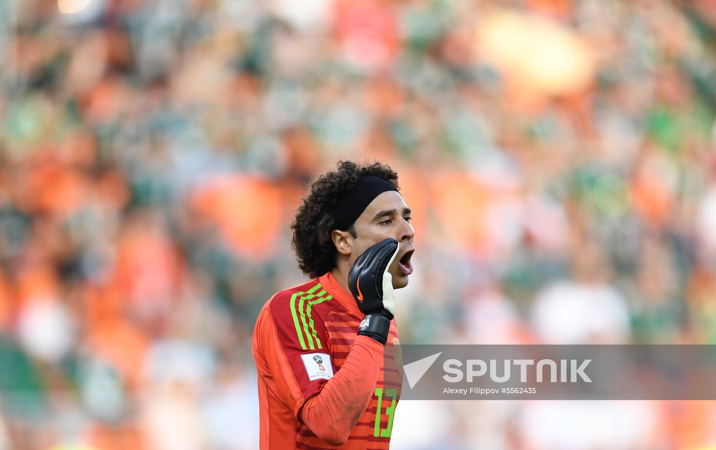 Russia World Cup Mexico - Sweden