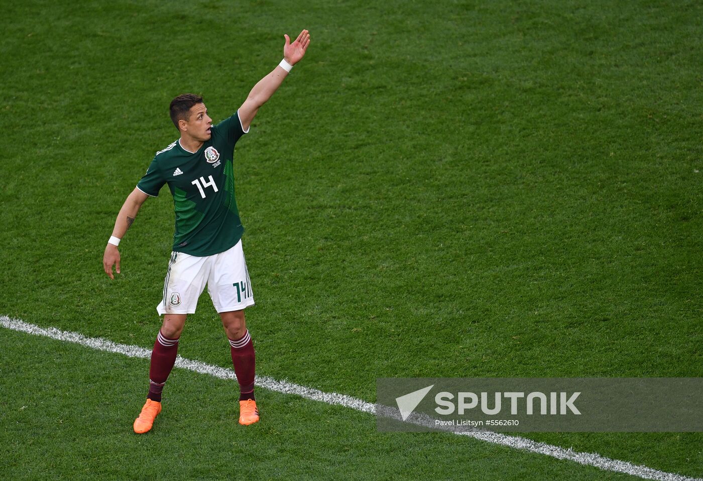 Russia World Cup Mexico - Sweden