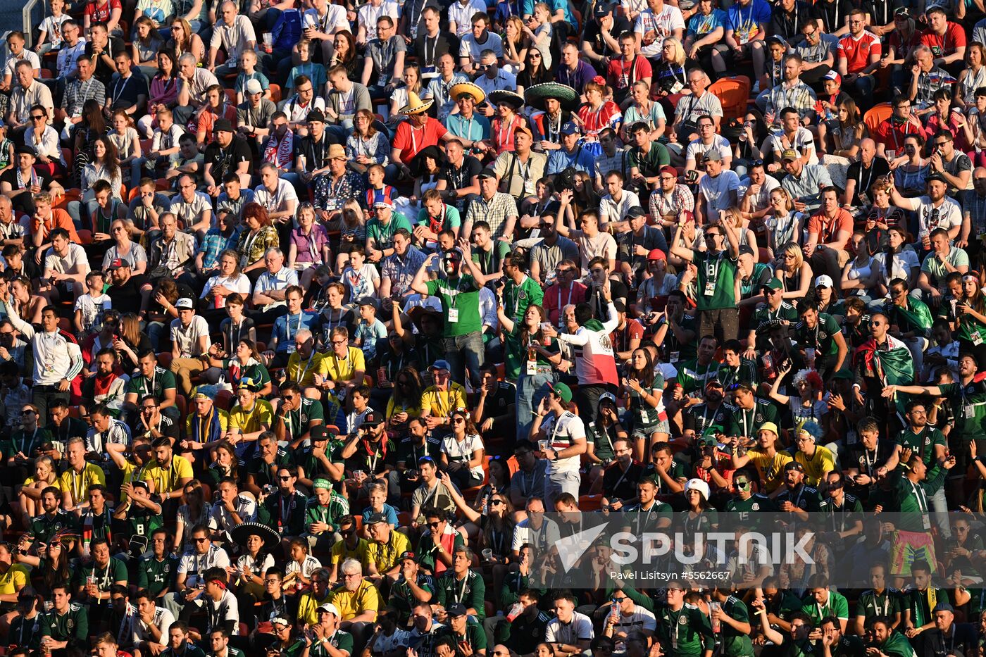 Russia World Cup Mexico - Sweden