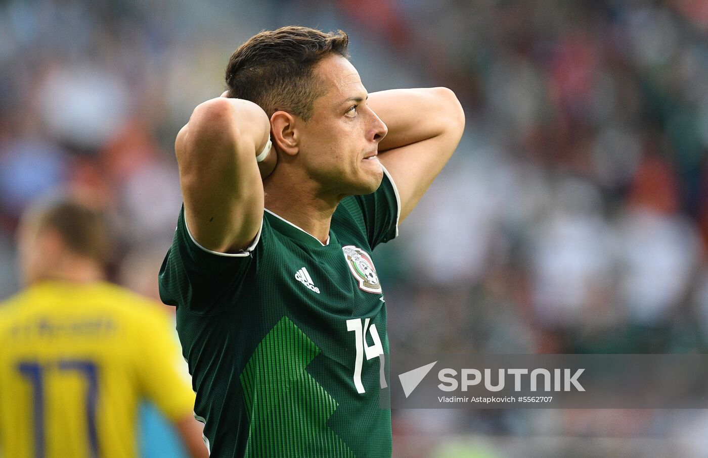 Russia World Cup Mexico - Sweden