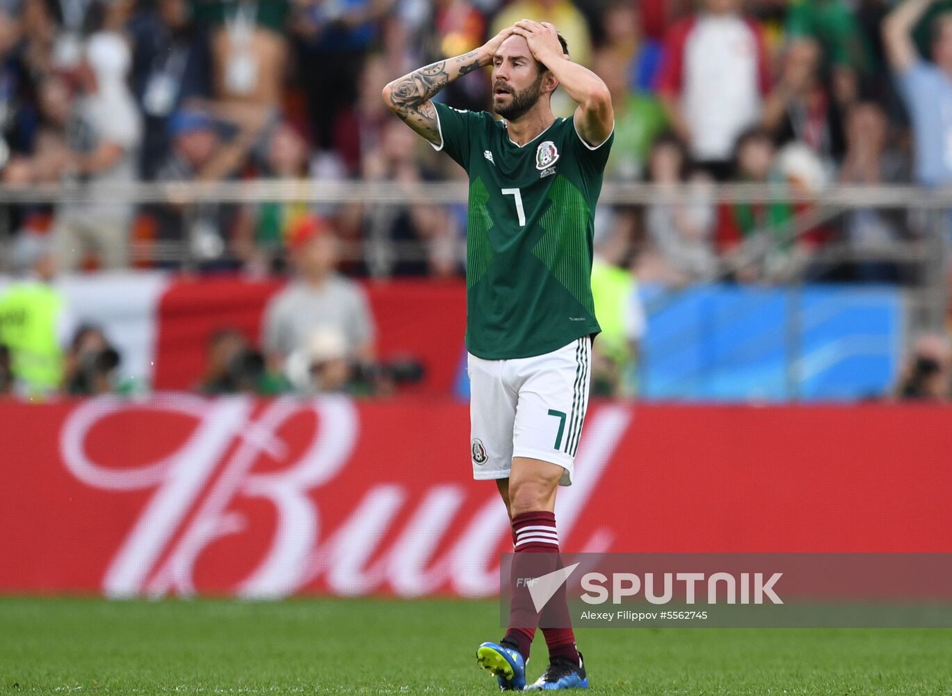 Russia World Cup Mexico - Sweden