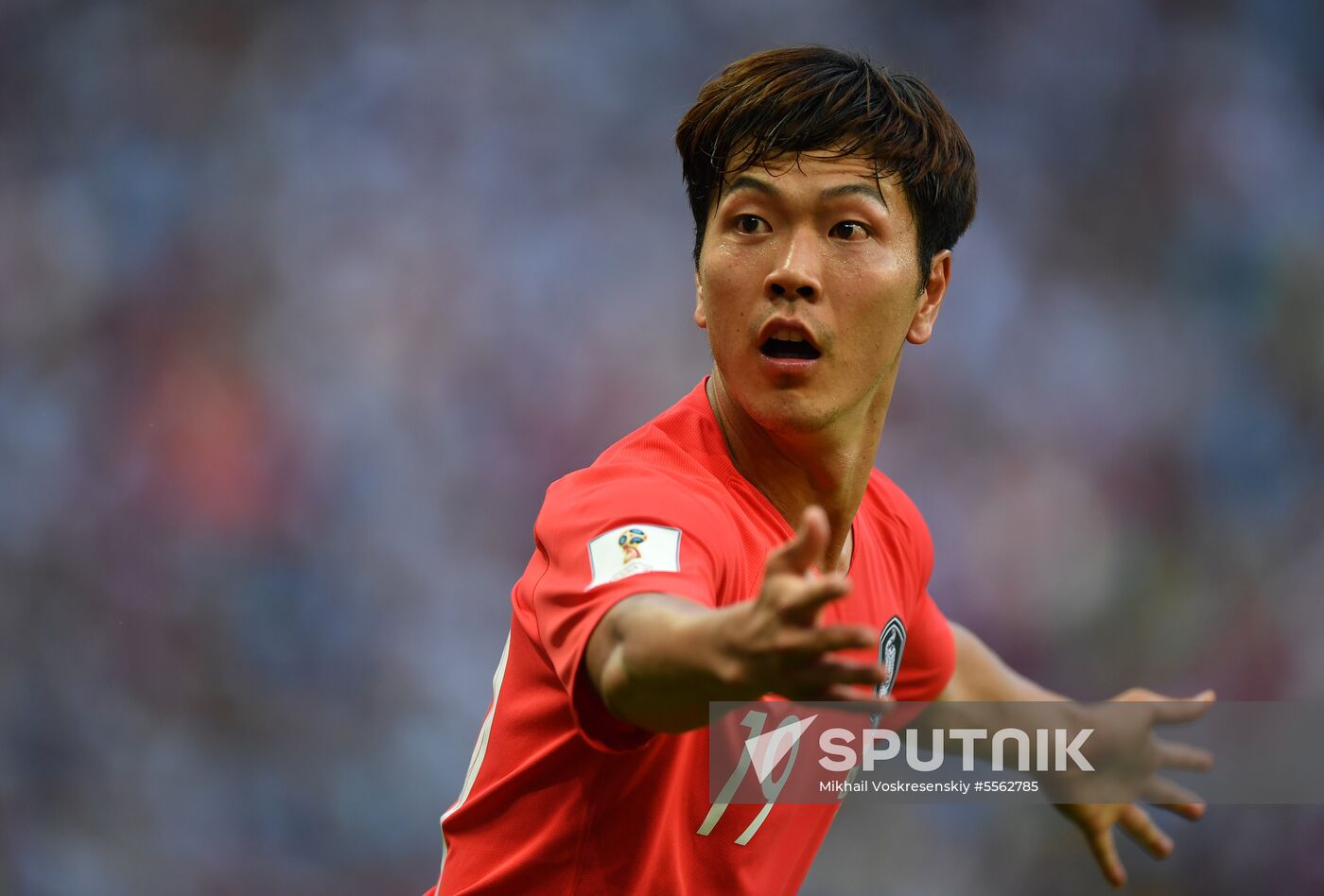 Russia World Cup South Korea - Germany