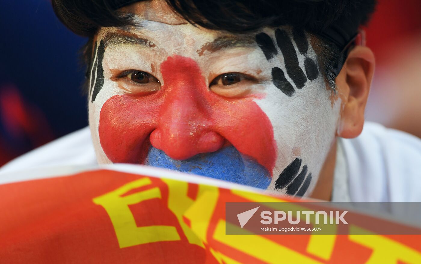 Russia World Cup South Korea - Germany