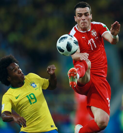 Russia World Cup Serbia - Brazil