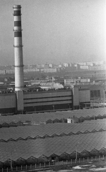 Leto Leningrad Agro-Industrial Association