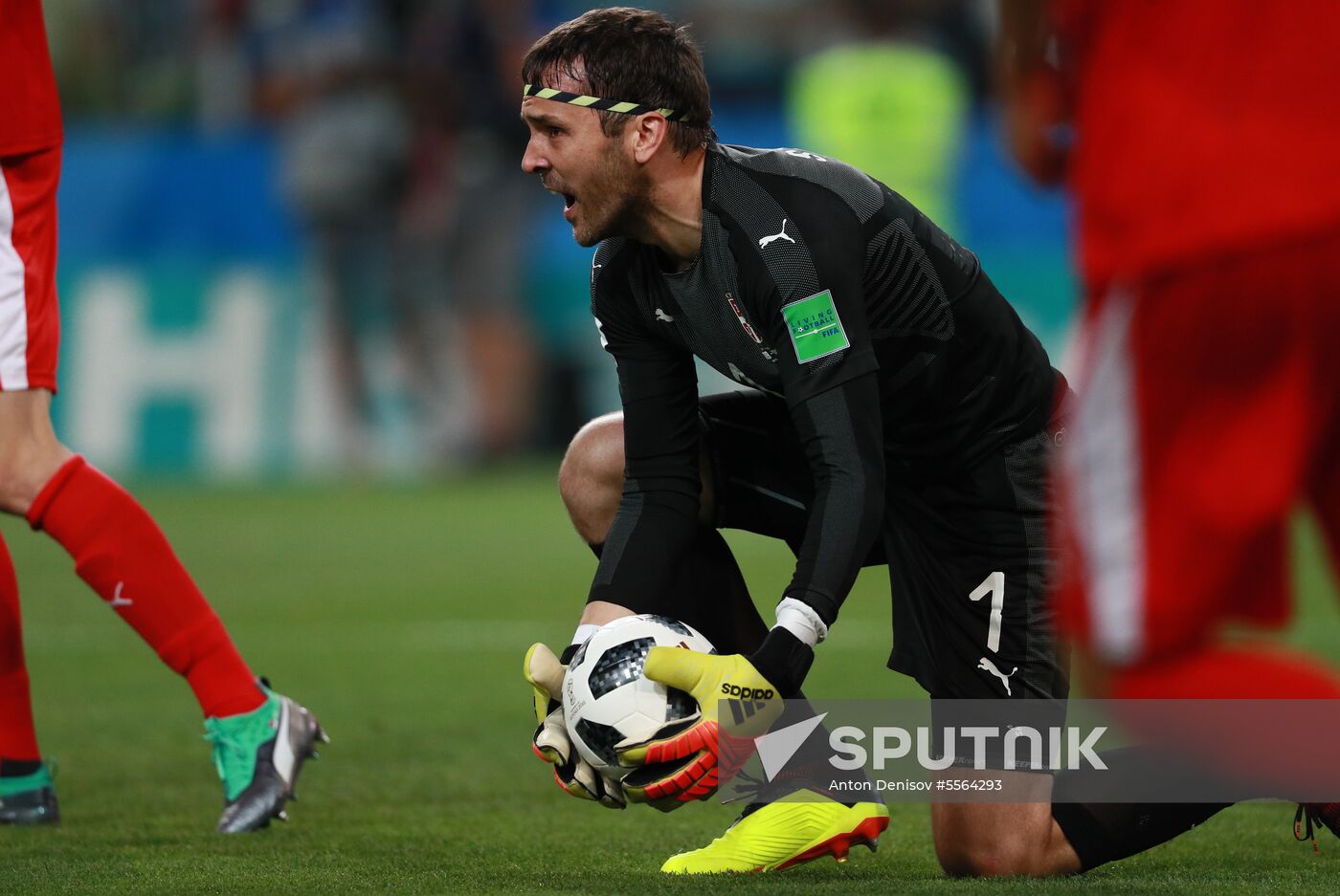 Russia World Cup Serbia - Brazil