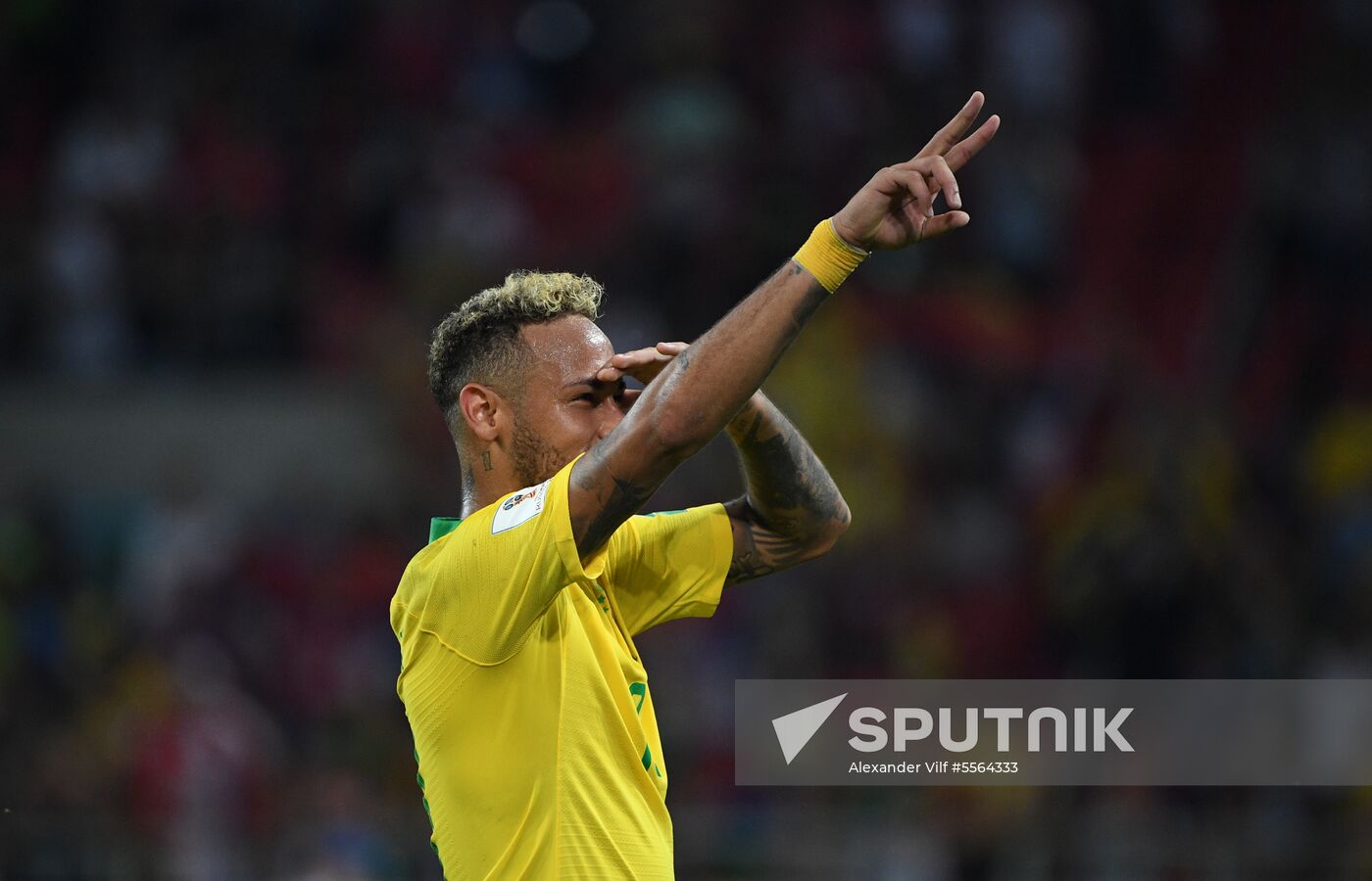 Russia World Cup Serbia - Brazil