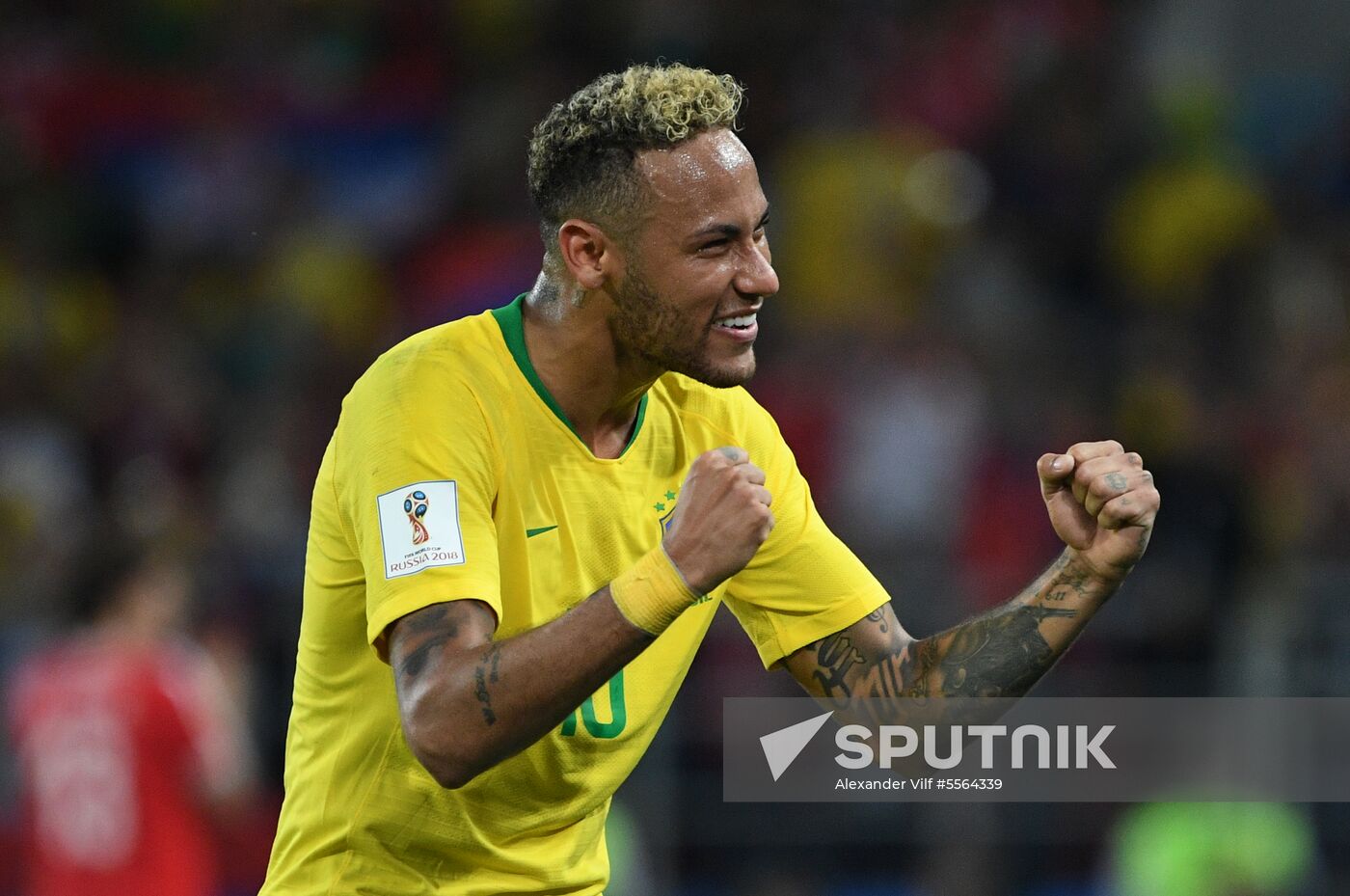 Russia World Cup Serbia - Brazil