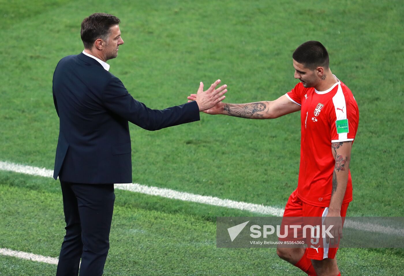 Russia World Cup Serbia - Brazil