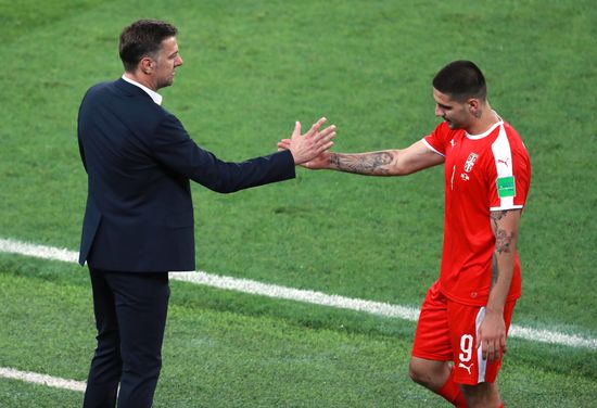 Russia World Cup Serbia - Brazil