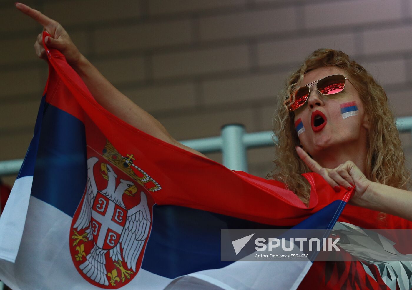 Russia World Cup Serbia - Brazil