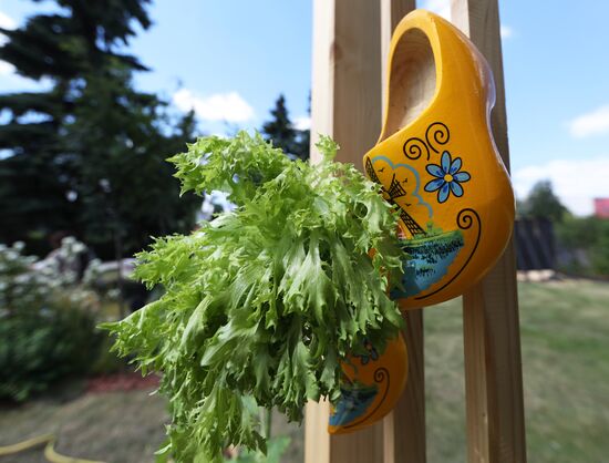Moscow Flower Show