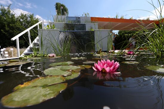 Moscow Flower Show