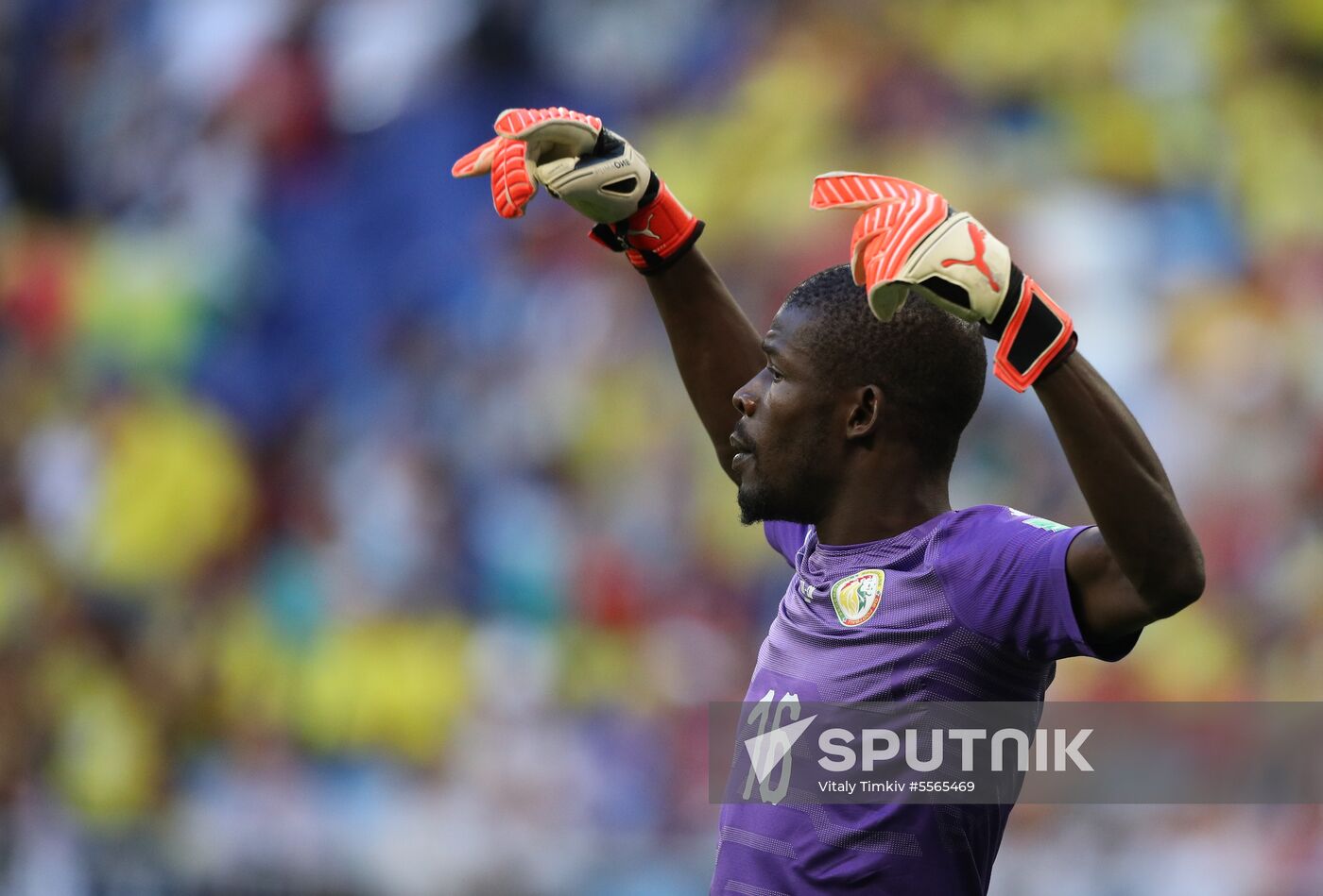 Russia World Cup Senegal - Colombia