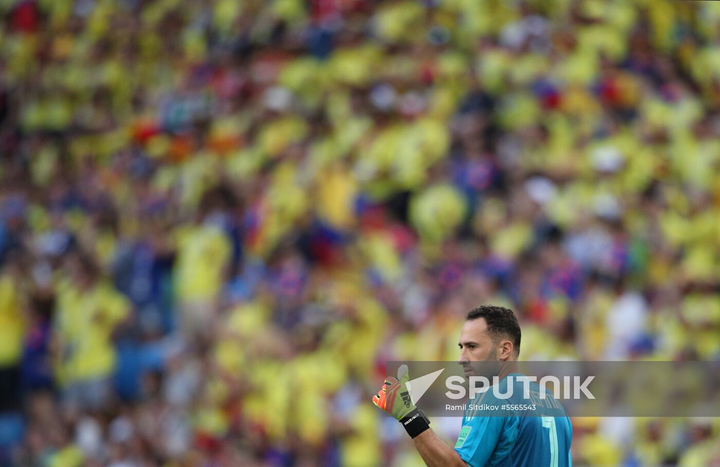 Russia World Cup Senegal - Colombia