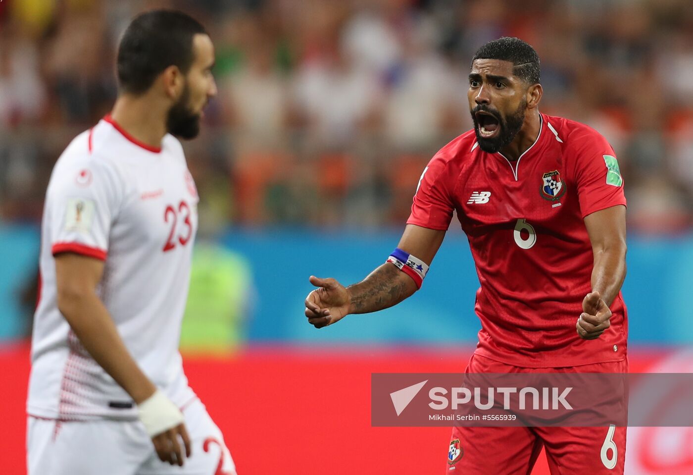 Russia World Cup Panama and Tunisia