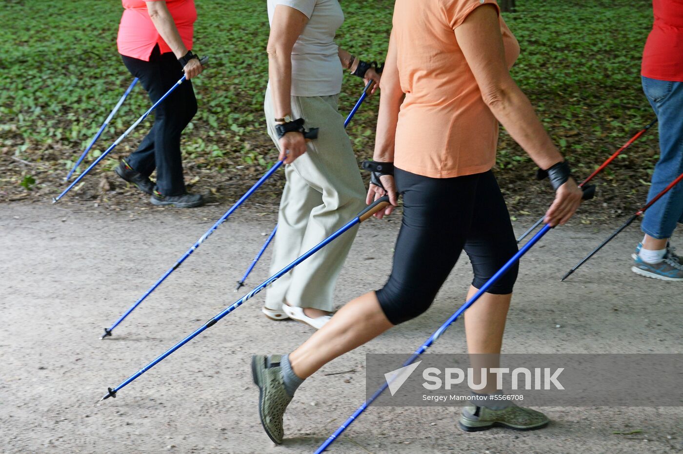 Senior citizens engage in Nordic walking