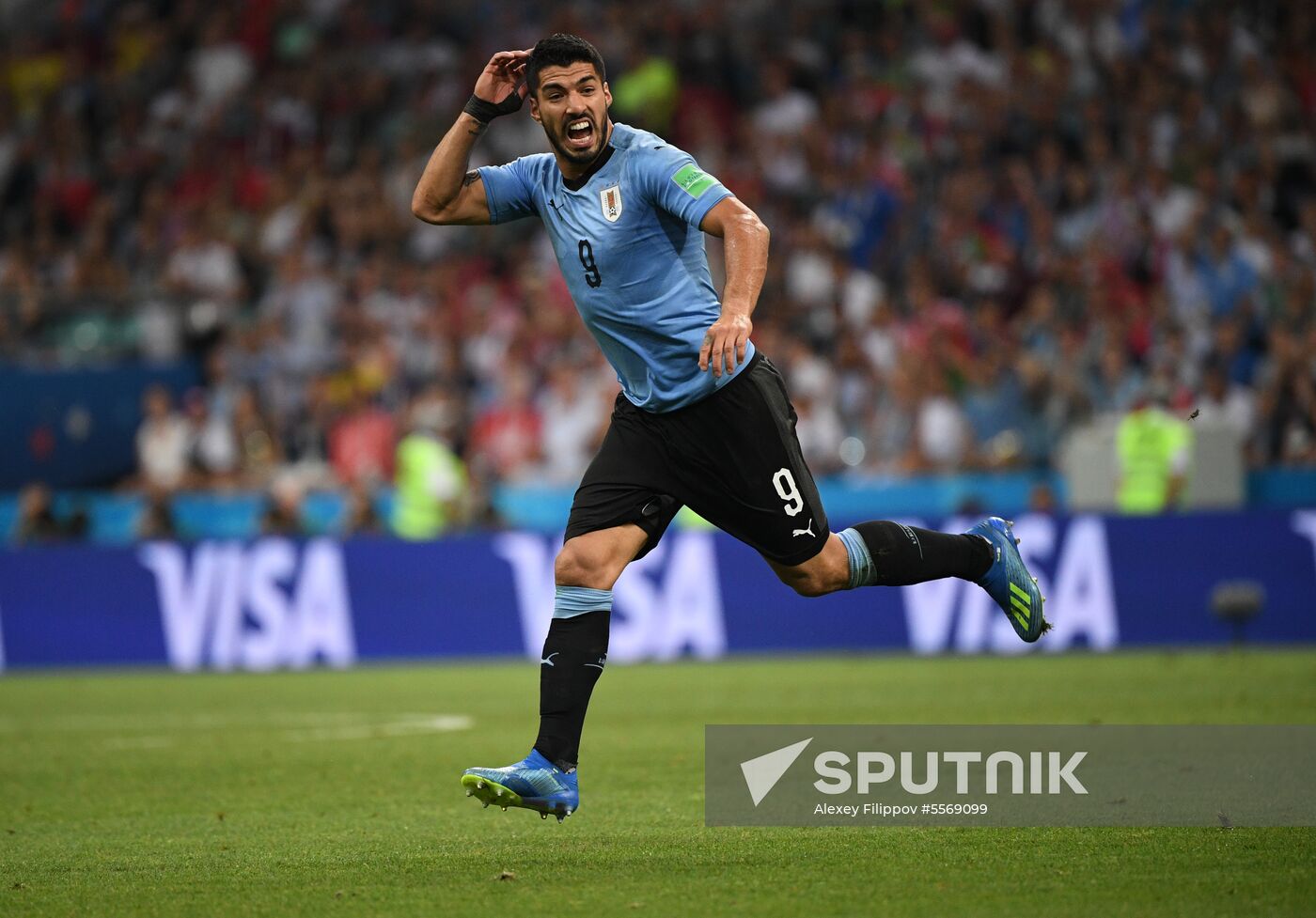 Russia World Cup Uruguay - Portugal
