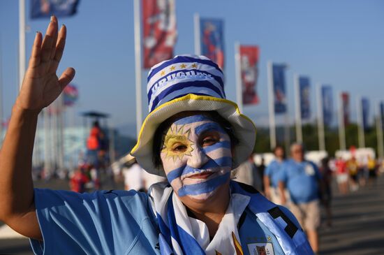 Russia World Cup Sochi