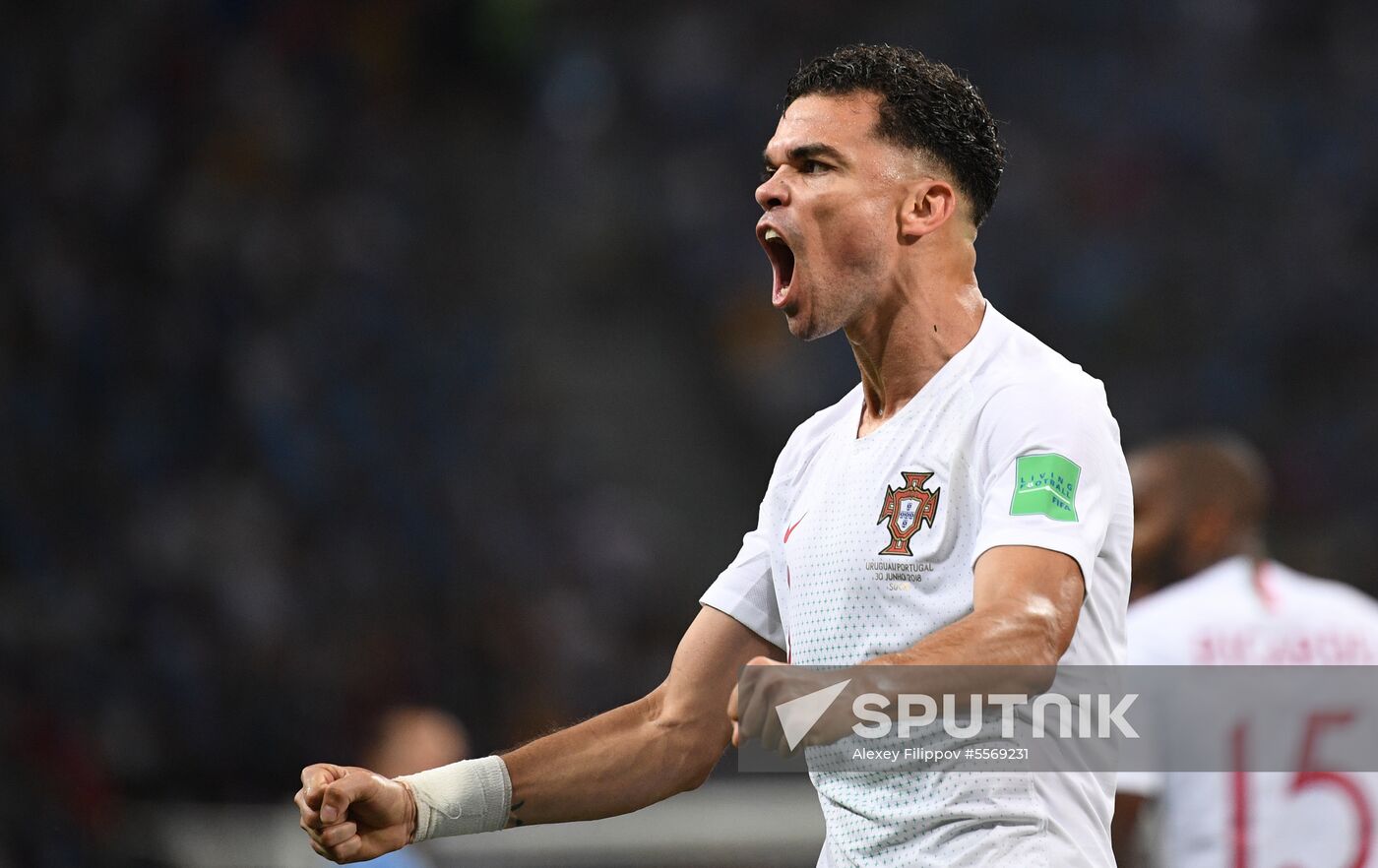 Russia World Cup Uruguay - Portugal