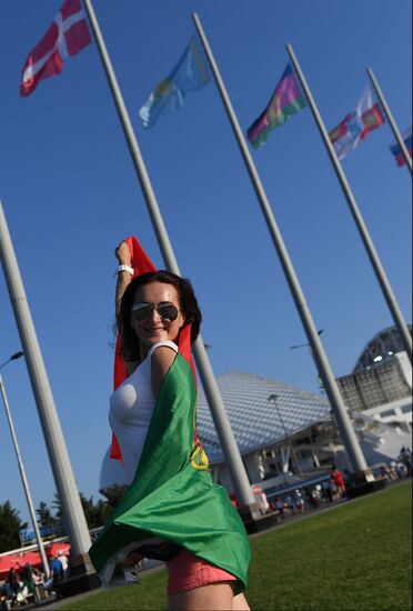 Russia World Cup Sochi