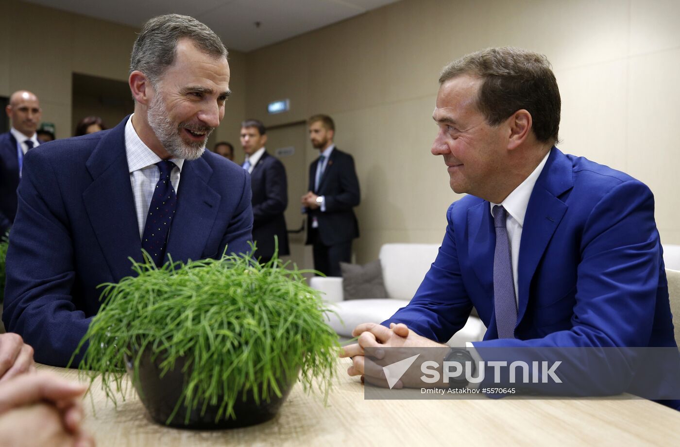 Prime Minister Dmitry Medvedev attends 2018 World Cup match between Russia and Spain