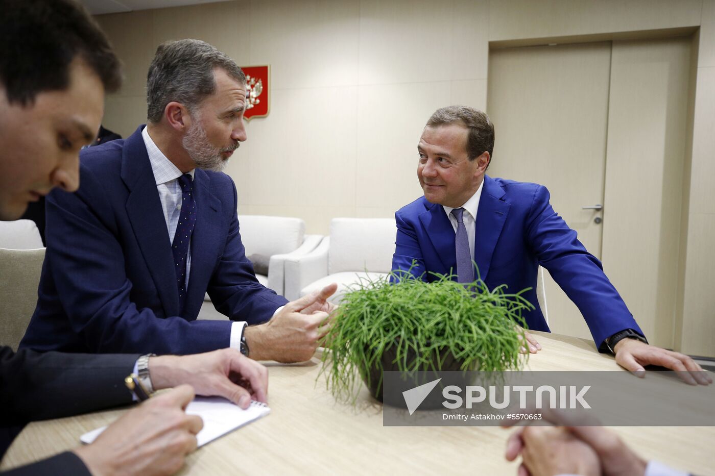 Prime Minister Dmitry Medvedev attends 2018 World Cup match between Russia and Spain